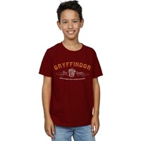 Harry Potter Boy's Gryffindor Team Quidditch T-Shirt in Burgundy | Size: 3-4 Years