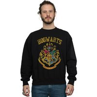 Hogwarts Varsity Sweatshirt