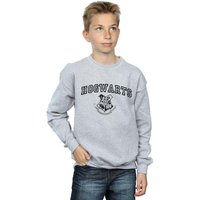 Harry Potter Boy's Hogwarts Crest Sweatshirt in Grey | Size: 3-4 Years