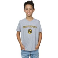 Harry Potter Boy's Hufflepuff Crest T-Shirt in Grey | Size: 3-4 Years