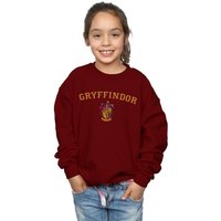 Harry Potter Girl's Gryffindor Crest Sweatshirt in Burgundy | Size: 5-6 Years