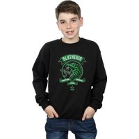 Slytherin Toon Crest Sweatshirt Years