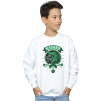Slytherin Toon Crest Sweatshirt Years