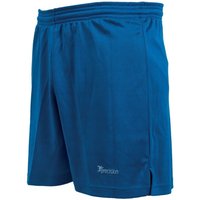 Precision Madrid Shorts in Blue | Size: Small
