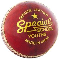 Readers Special School Leather Cricket Ball in Red