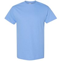 Heavy Cotton Short Sleeve T Shirt Duck Egg