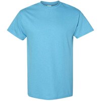 Heavy Cotton Short Sleeve T Shirt Blue