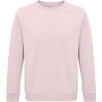 Space Raglan Sweatshirt Pale