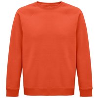 Space Raglan Sweatshirt Burnt