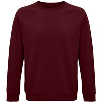Space Raglan Sweatshirt