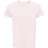 Crusader T Shirt Pale