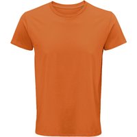 Crusader T Shirt Burnt