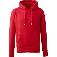 Plain Burgundy Hoodie