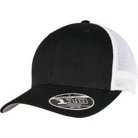 110 Mesh Two Tone Cap