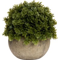 Hill Interiors Miniature Hebe Veronica Dration in Bright Green