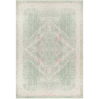Large Area Rugs Living Room Washable & Non Slip Pale cm x 290 cm