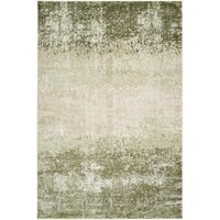 Earthy Distressed Effect Rug cm x 330 cm