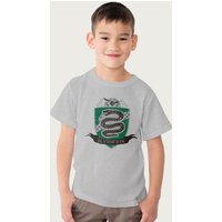Harry Potter Slytherin Quidditch Distressed Shield T-Shirt in Mid Grey | Size: 3-4 Years