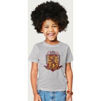 Harry Potter Gryffindor Quidditch Distressed Shield T-Shirt in Mid Grey | Size: 9-11 Years