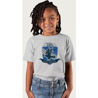 Harry Potter Ravenclaw Quidditch Distressed Shield T-Shirt in Mid Grey | Size: 7-8 Years