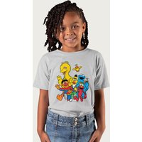 Sesame Street Big Little Bird Bert Ernie Cookie Monster Elmo T-Shirt in Mid Grey | Size: 12-13 Years