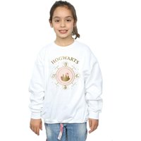 Hogwarts Constellation Sweatshirt Years