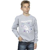 Harry Potter Boy's Owl Letter From Hogwarts Sweatshirt in Grey | Size: 3-4 Years