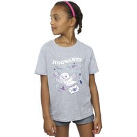 Harry Potter Girl's Owl Letter From Hogwarts Cotton T-Shirt in Grey | Size: 12-13 Years