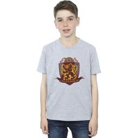 Harry Potter Boy's Gryffindor Chest Badge T-Shirt in Grey | Size: 5-6 Years