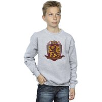 Harry Potter Boy's Gryffindor Chest Badge Sweatshirt in Grey | Size: 3-4 Years