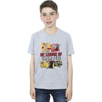 DC Comics Boy's DC League Of Super-Pets Profile T-Shirt in Grey | Size: 5-6 Years