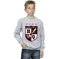 Justice League Boy's Harley Quinn FC Pocket Sweatshirt in Grey | Size: 7-8 Years