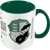 Harry Potter Slytherin House Pride Mug in Green