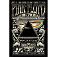 Pink Floyd 1973 Poster in Black
