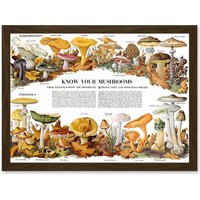 Artery8 Know Your Mushroom Identifier Chart Mycology Mushroom Fungi Toadstool A4 Artwork Framed Wall Art Print in Brown