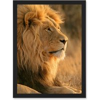 Artery8 Big African Lion Sitting Sun Bathing Nature A4 Artwork Framed Wall Art Print in Black