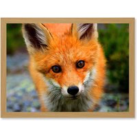 Artery8 Baby Red Fox Portrait Woodland A4 Artwork Framed Wall Art Print in Light Oak