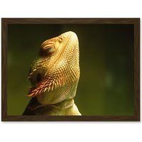 Artery8 Bearded Dragon Reptile Sunbathing A4 Artwork Framed Wall Art Print in Brown