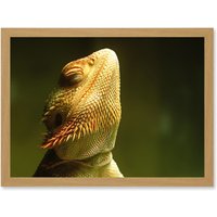 Artery8 Bearded Dragon Reptile Sunbathing A4 Artwork Framed Wall Art Print in Light Oak