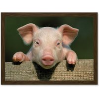 Artery8 Pig Piglet Cute Farm Pink Baby Babe A4 Artwork Framed Wall Art Print in Brown