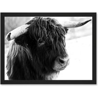 Artery8 Highland Cow Bull Horns Black White Photo A4 Artwork Framed Wall Art Print