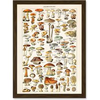 Artery8 Mushrooms Fungus Champignons A4 Artwork Framed Wall Art Print in Brown