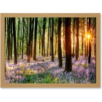 Artery8 Bluebell Wood Sunrise Trees Photo A4 Artwork Framed Wall Art Print in Light Oak