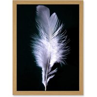 Artery8 Black White Single Feather Bird A4 Artwork Framed Wall Art Print in Light Oak