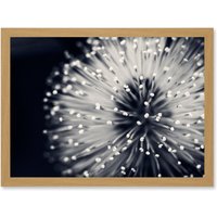 Artery8 Photo Nature Plant Flower Black White Beautiful Home A4 Artwork Framed Wall Art Print in Light Oak