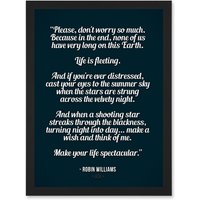 Artery8 Quote Robin Williams Don't Worry Life Is Spectacular A4 Artwork Framed Wall Art Print in Black