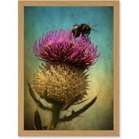 Artery8 Photo Bumble Bee Thistle Flower Scotland Picture A4 Artwork Framed Wall Art Print in Light Oak