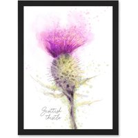 Artery8 Scottish Thistle Flower Head Watercolour Scotland A4 Artwork Framed Wall Art Print in Black