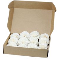 Natural Diffuser Flowers Med Carnation on String