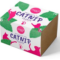 Seed Pantry Easy Grow Catnip Seed Kit